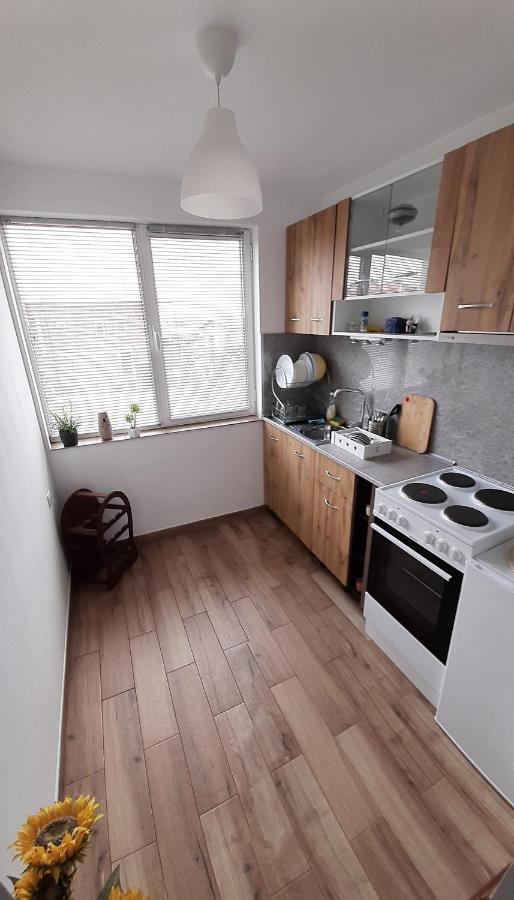 Къща За Гости Чечев Saparewa Banja Exterior foto
